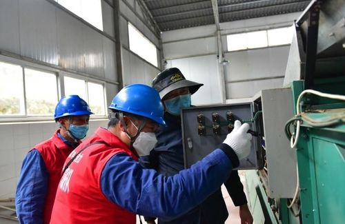 电力先行护航春茶香，国网广元715名台区经理“驻厂进村”激活乡村振兴新动能