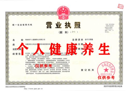 出让海南省个人健康养生有限公司咨询策划服务