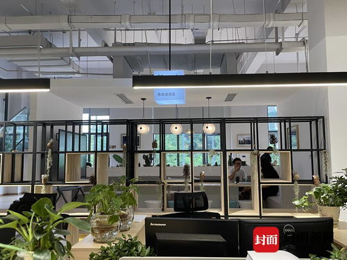 探访成都金牛“双中心” 这个极具设计感的服务空间，如何重塑咨询与策划体验？